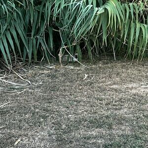 Meet your Posher, Caleb